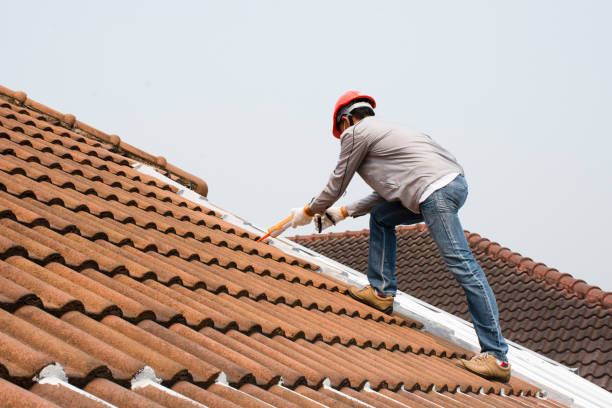 Robins Af, GA Roofing services Company