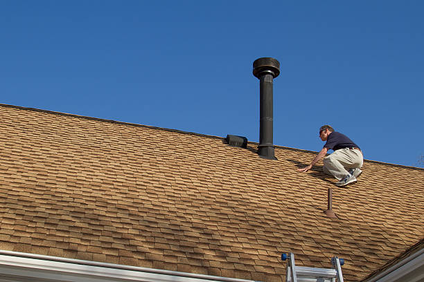 Best Steel Roofing  in Robins Af, GA